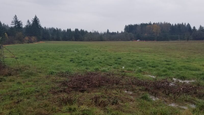 Beavercreek Community Park - Beavercreek, OR