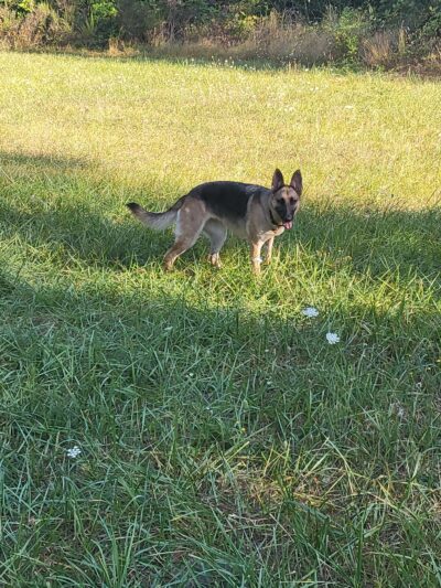 Beavercreek Community Park - Beavercreek, OR