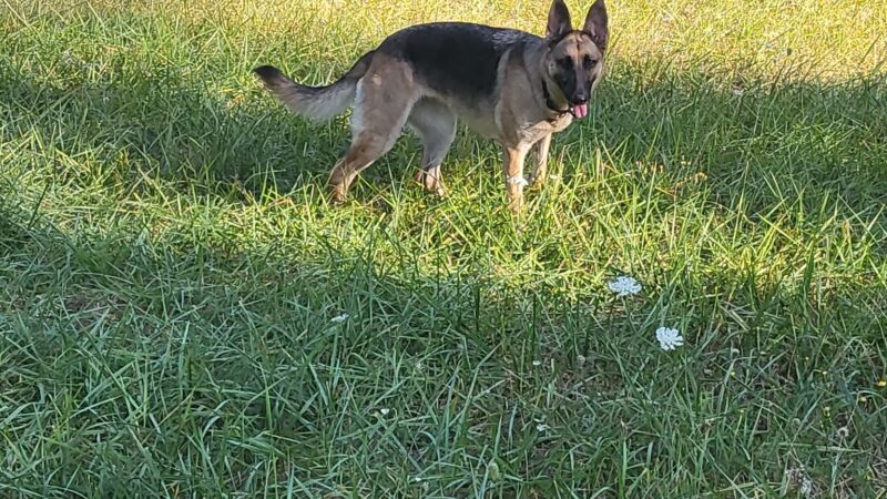 Beavercreek Community Park - Beavercreek, OR