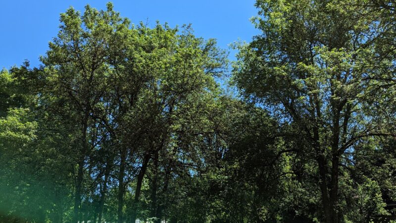 Channing Heights Park - Beaverton, OR
