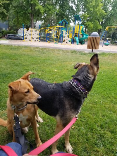 Channing Heights Park - Beaverton, OR