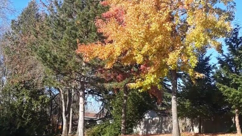 Greenway Park - Beaverton, OR