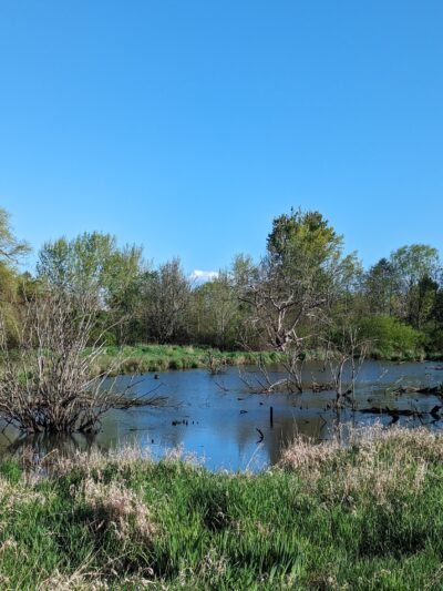 Greenway Park - Beaverton, OR