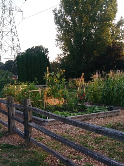 John Marty Park - Beaverton, OR