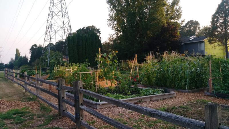 John Marty Park - Beaverton, OR