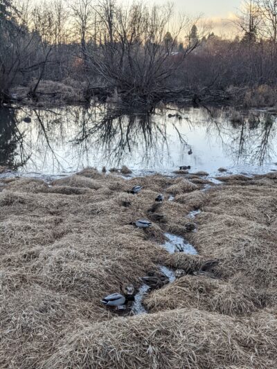 John Marty Park - Beaverton, OR