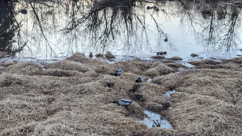 John Marty Park - Beaverton, OR