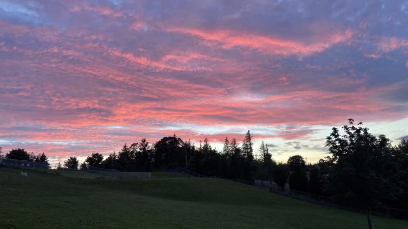 Winkelman Dog Park - Beaverton, OR