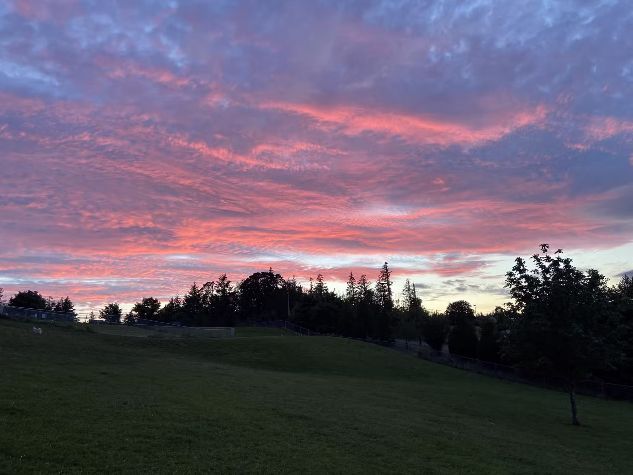 Winkelman Dog Park - Beaverton, OR