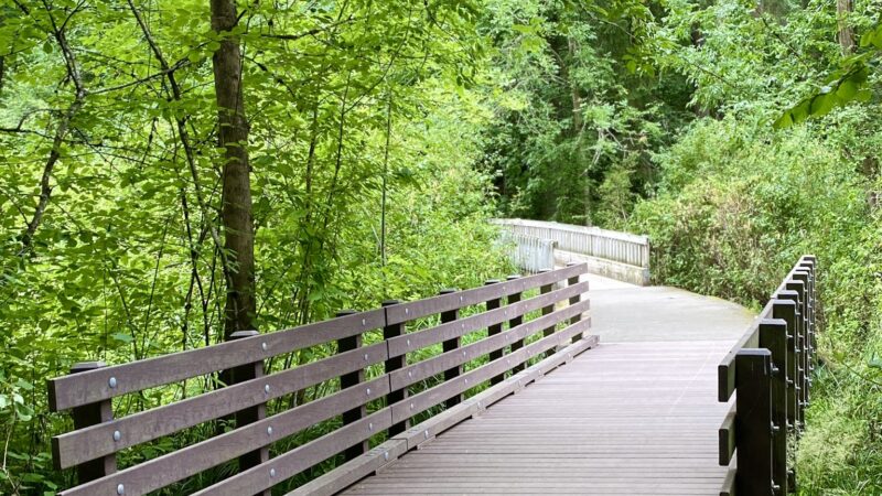 Brookhaven Park - Beaverton, OR