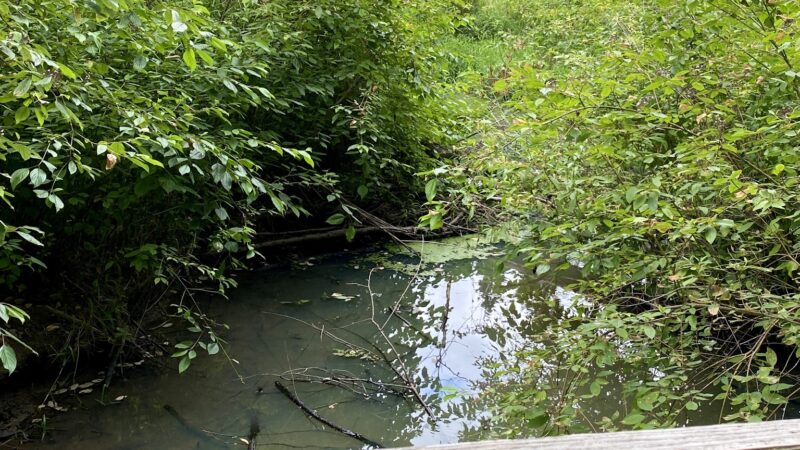Brookhaven Park - Beaverton, OR