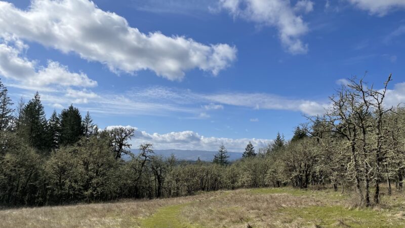 Cooper Mountain Nature Park - Beaverton, OR