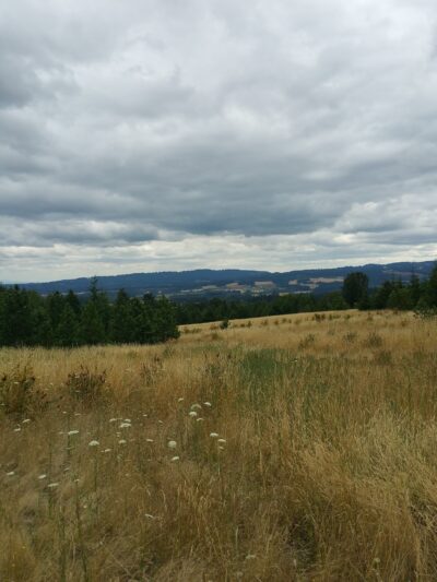 Cooper Mountain Nature Park - Beaverton, OR