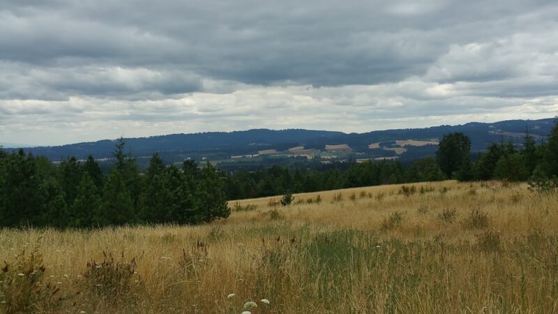 Cooper Mountain Nature Park - Beaverton, OR