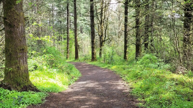 Cooper Mountain Nature Park - Beaverton, OR