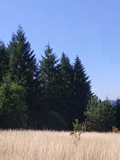 Cooper Mountain Nature Park - Beaverton, OR