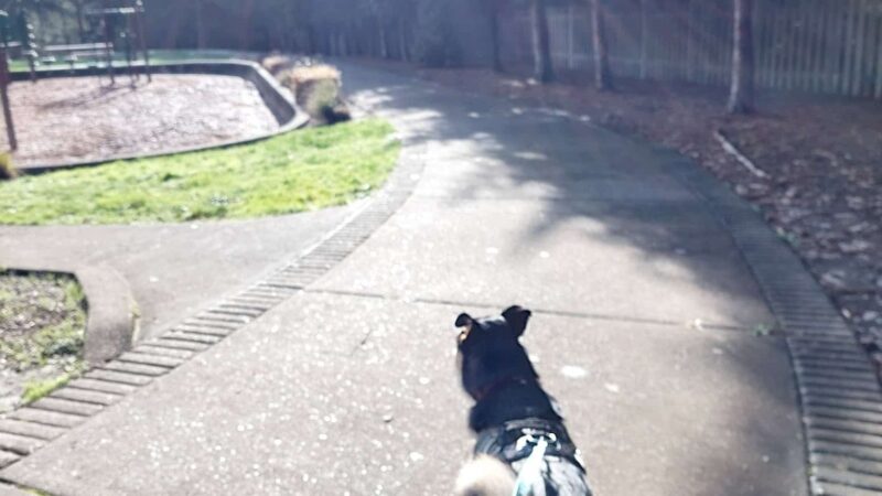Foege Park - Beaverton, OR