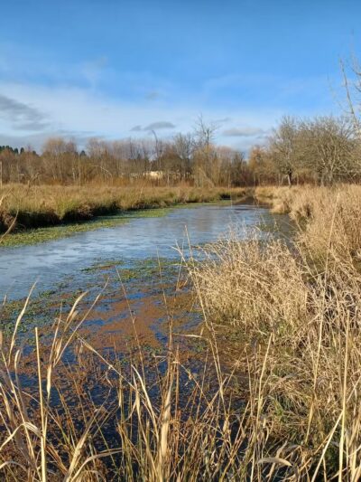 Greenway Trailhead- Fanno Creek Trail - Beaverton, OR