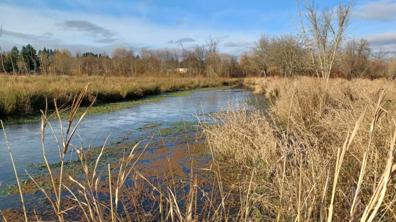 Greenway Trailhead- Fanno Creek Trail - Beaverton, OR