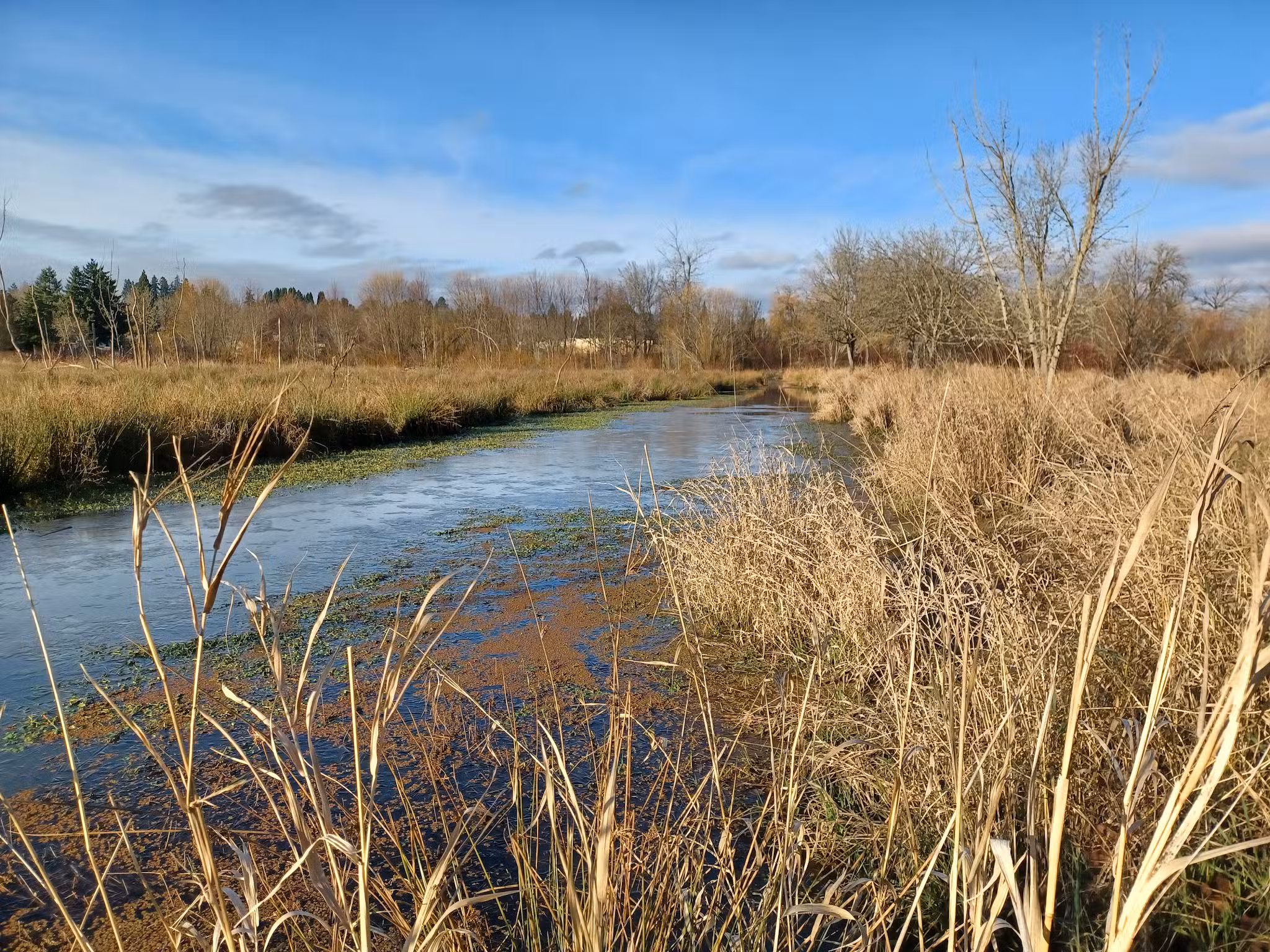 Greenway Trailhead- Fanno Creek Trail - Beaverton, OR