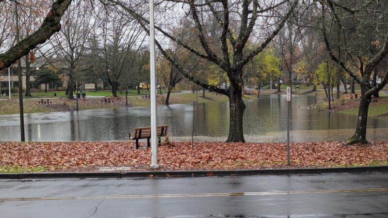Griffith Park - Beaverton, OR