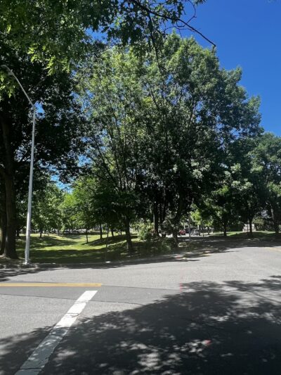 Griffith Park - Beaverton, OR