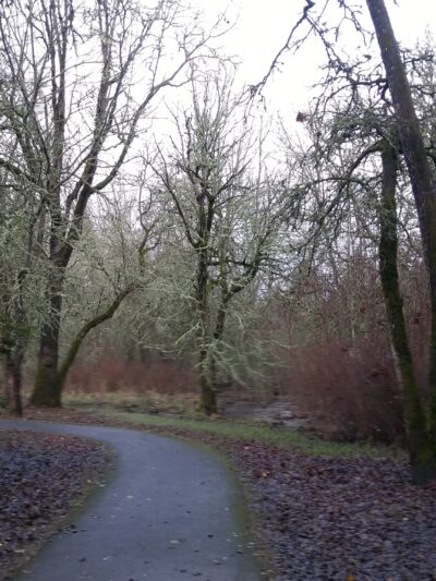 Hazeldale Park - Beaverton, OR
