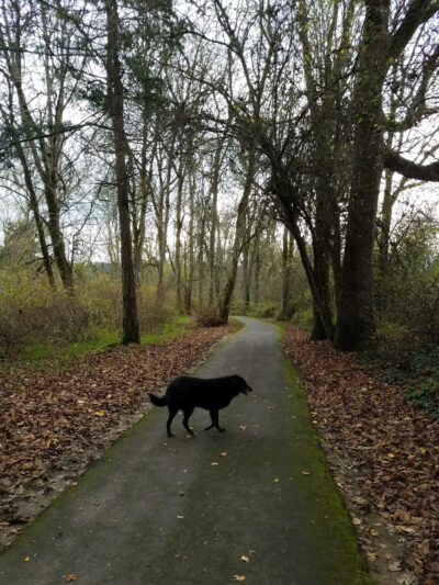Hazeldale Park - Beaverton, OR