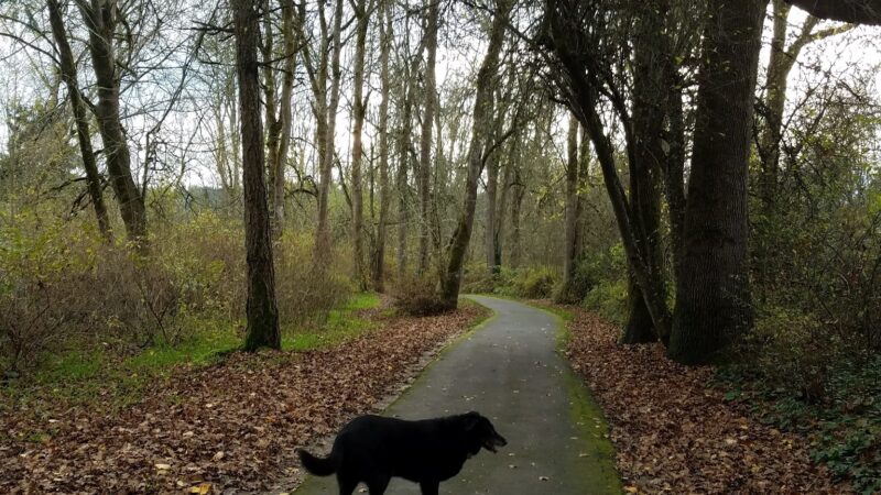 Hazeldale Park - Beaverton, OR