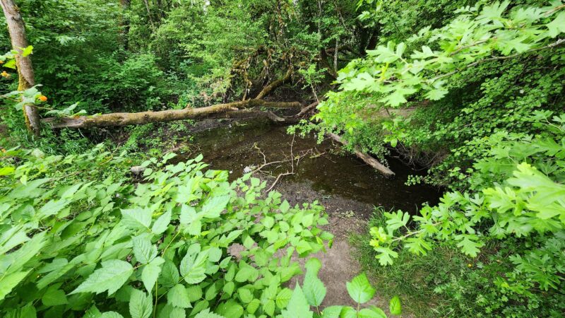 McMillan Park - Beaverton, OR