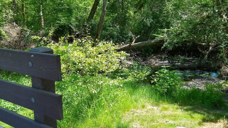 McMillan Park - Beaverton, OR