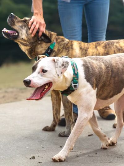 Paul and Verna Winkelman Park - Beaverton, OR