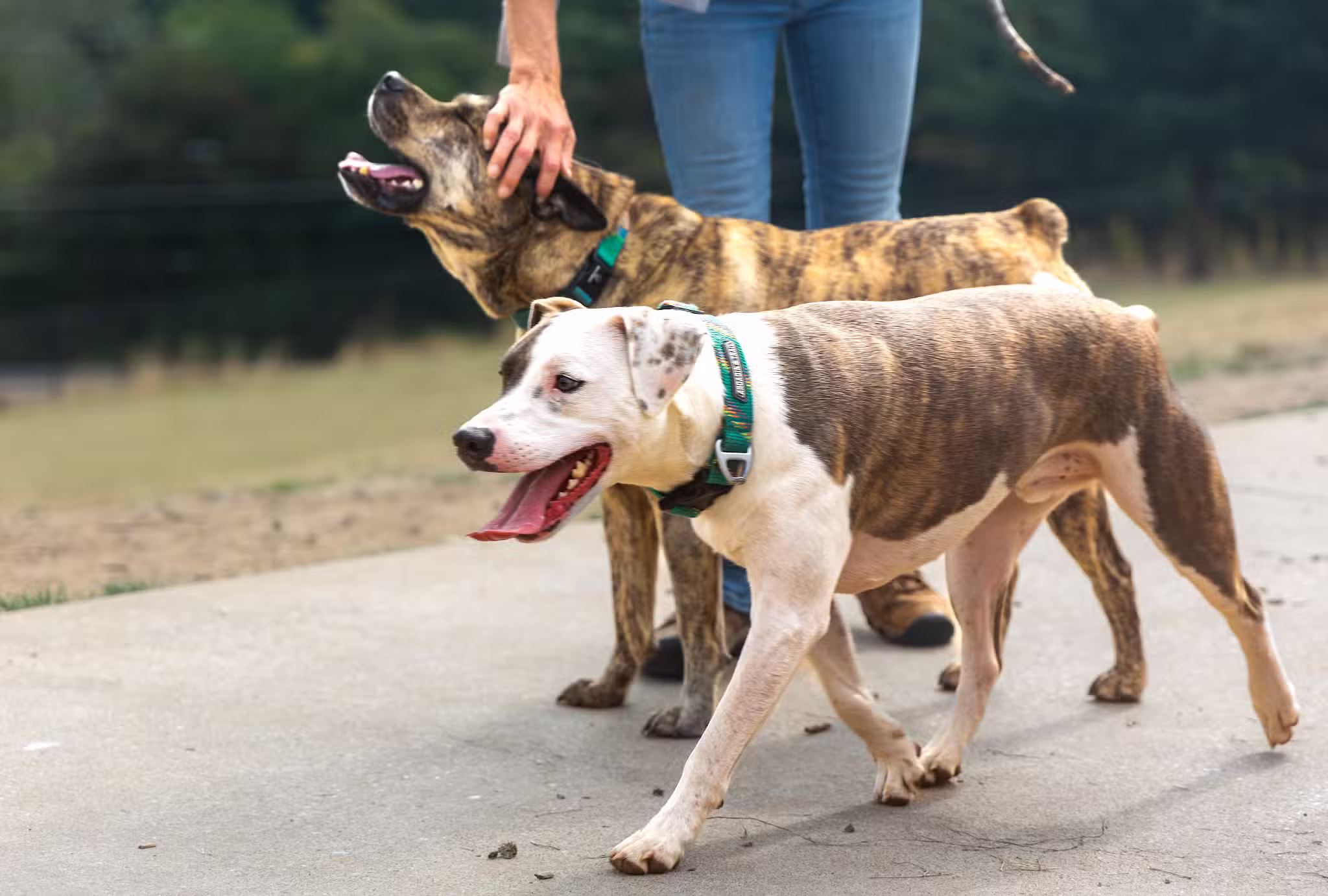 Paul and Verna Winkelman Park - Beaverton, OR