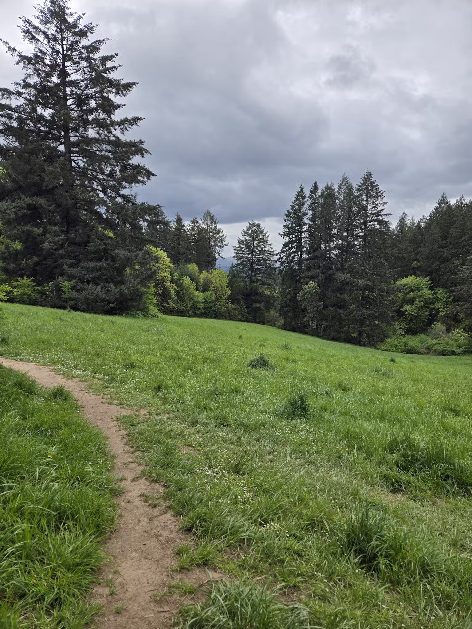 Paul and Verna Winkelman Park - Beaverton, OR