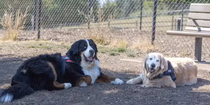 Paul and Verna Winkelman Park - Beaverton, OR