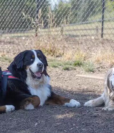 Paul and Verna Winkelman Park - Beaverton, OR