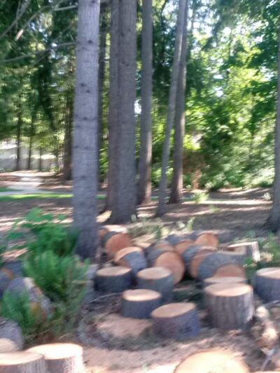 Steeplechase Park - Beaverton, OR