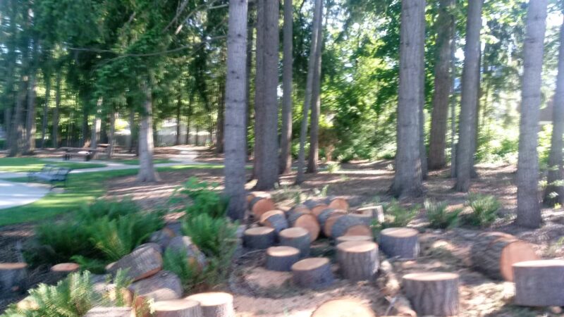 Steeplechase Park - Beaverton, OR