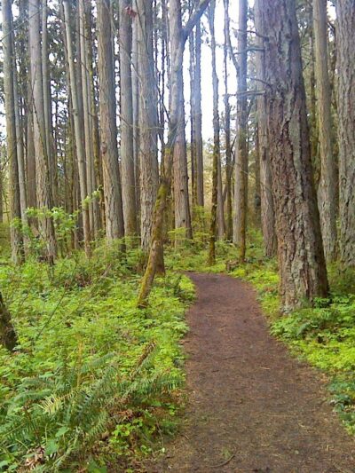 Tualatin Hills Nature Park - Beaverton, OR