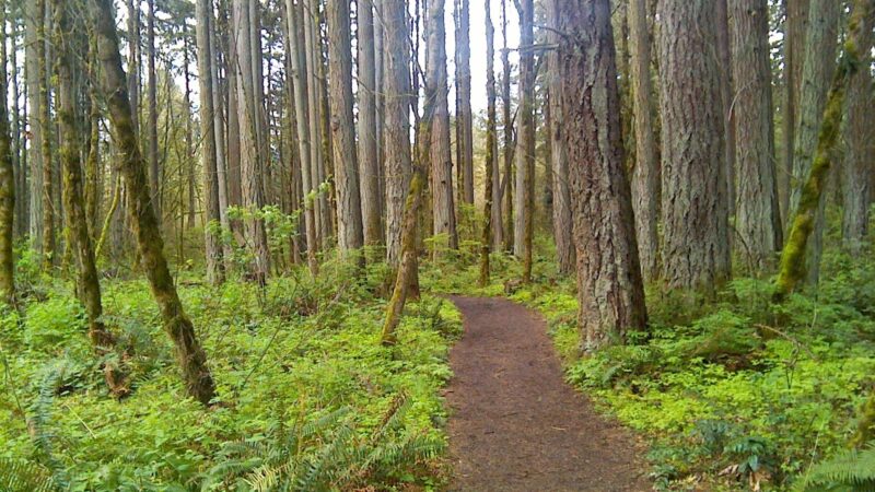 Tualatin Hills Nature Park - Beaverton, OR