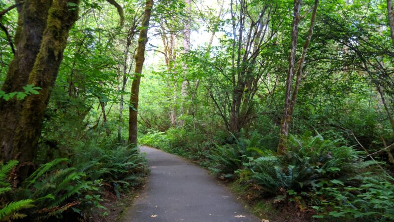 Tualatin Hills Nature Park - Beaverton, OR