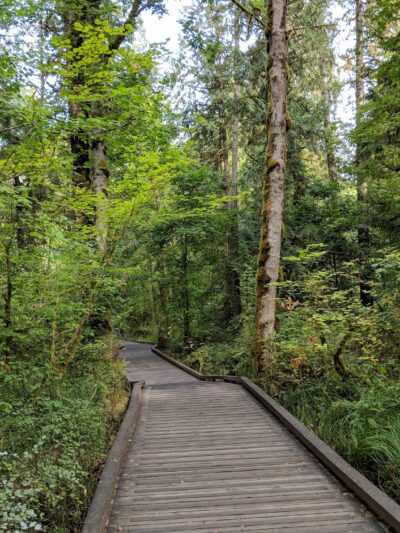 Tualatin Hills Nature Park - Beaverton, OR