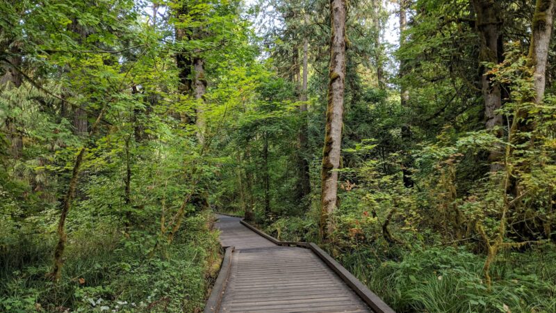 Tualatin Hills Nature Park - Beaverton, OR