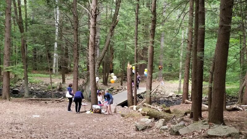 Earl Legacy Park - Bedford, NH