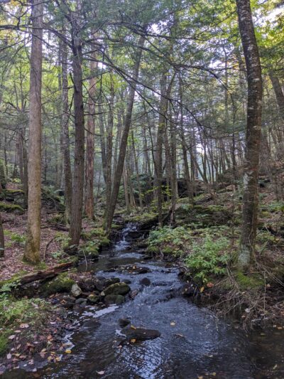 Pulpit Road Trail-head Parking - Bedford, NH