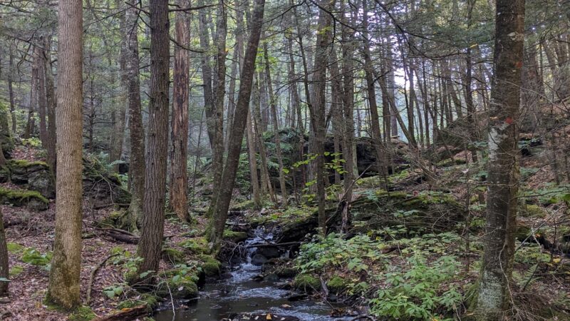 Pulpit Road Trail-head Parking - Bedford, NH