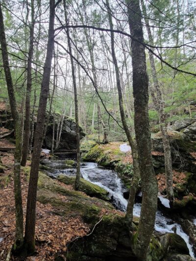 Pulpit Rock Conservation Area - Bedford, NH