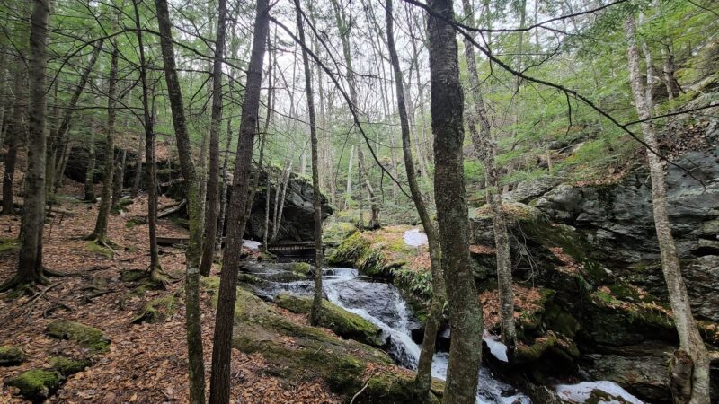 Pulpit Rock Conservation Area - Bedford, NH