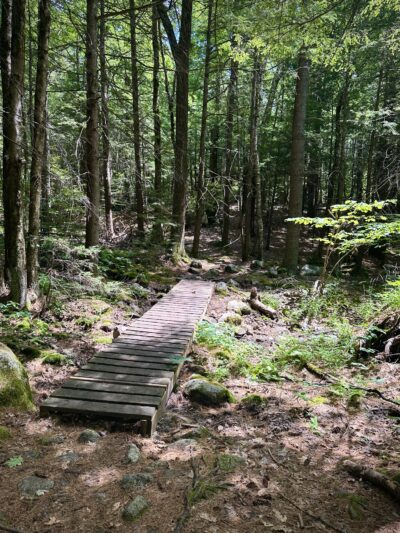 Pulpit Rock Conservation Area - Bedford, NH