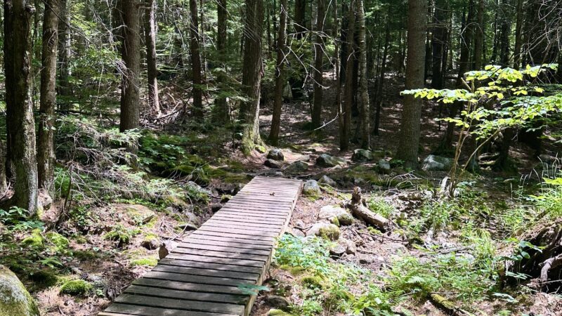 Pulpit Rock Conservation Area - Bedford, NH